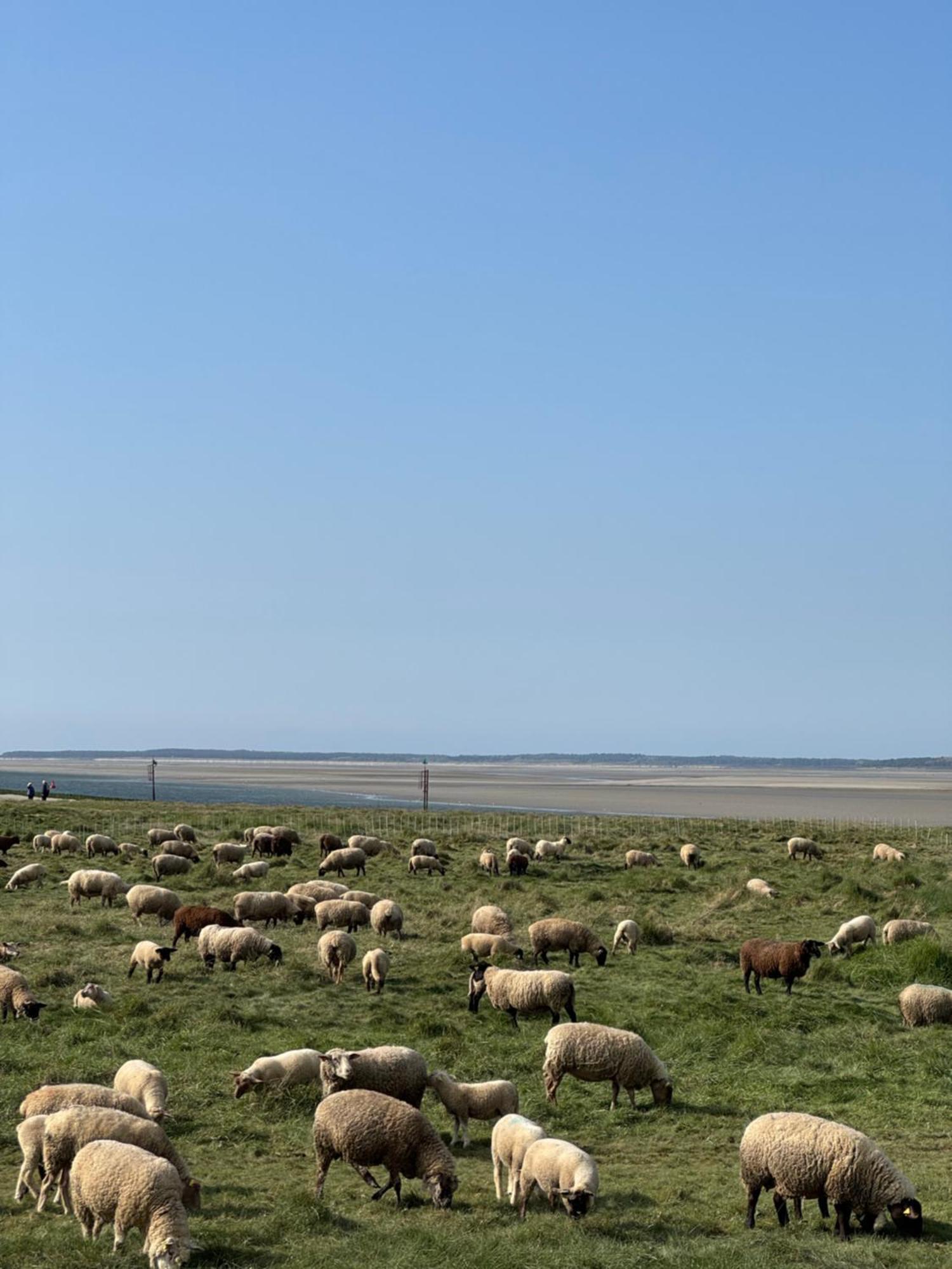 Boismont  Gite Du Flot - Baie De Somme מראה חיצוני תמונה